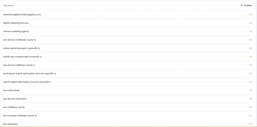 A list of top search queries and their positions is displayed in a table format to help track website SEO performance. All queries shown have a position of 1.0, such as digital marketing services and SEO services by location. | stresslessdigitalmarketingagency.com